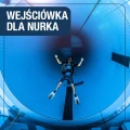 Package for a person with a Scuba license - one dive