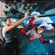 Fly and steer package for adults