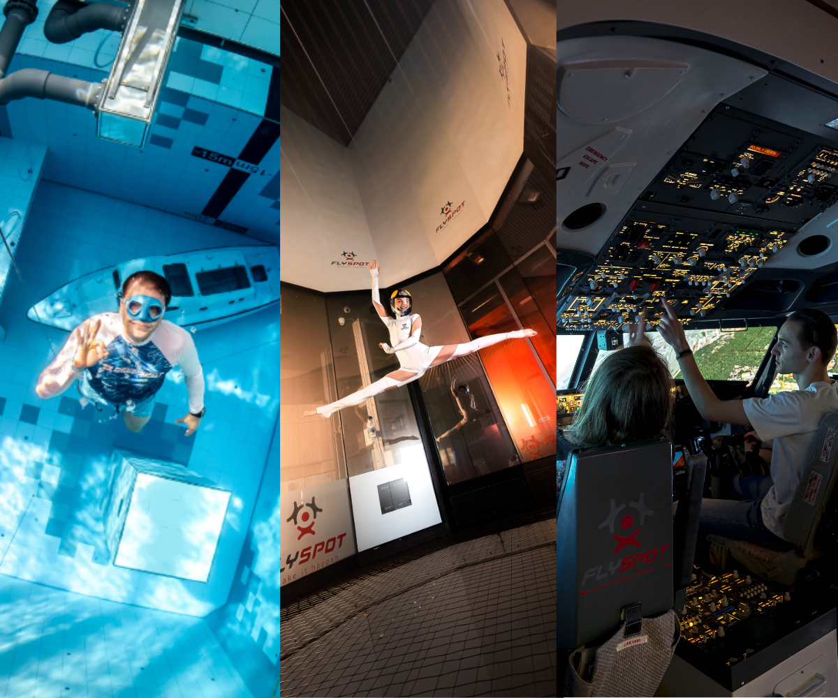 VIP package - 3 in 1: Flyspot + Deepspot + Boeing 737 sim